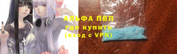 стафф Ладушкин