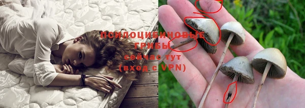 прущие крисы Беломорск
